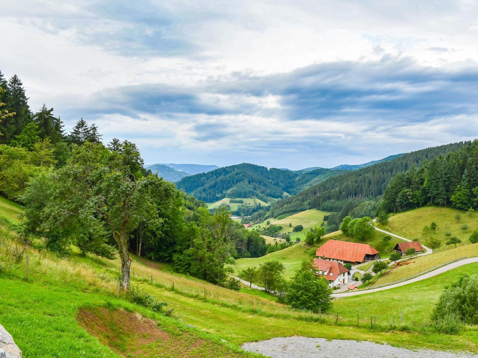 Ferienhaus Wendelinus Mit Pool & Sauna Hausach Exterior foto